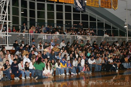 Enlarge photo 46
