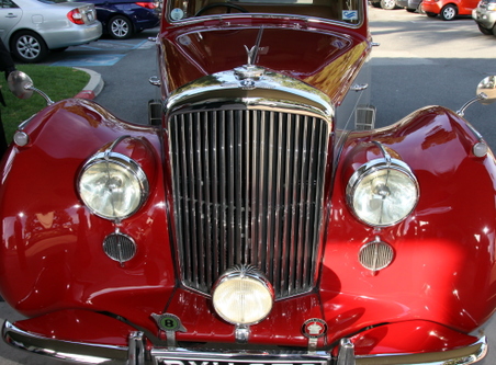 Enlarge photo 30