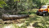 Enlarge photo 16