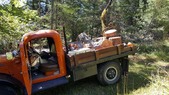 Enlarge photo 17