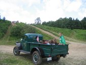 Enlarge photo 10