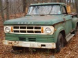 Enlarge photo 473