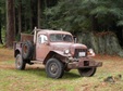 Enlarge photo 641