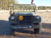 Enlarge photo 328