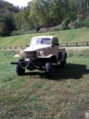 Enlarge photo 98