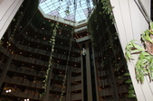 Enlarge photo 41