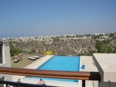 Enlarge photo 41