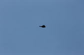 Enlarge photo 37