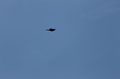Enlarge photo 38