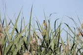 Enlarge photo 54