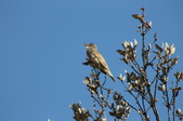 Enlarge photo 57