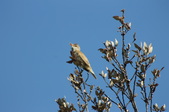 Enlarge photo 58