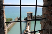 Enlarge photo 63