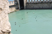 Enlarge photo 65