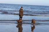 Enlarge photo 17