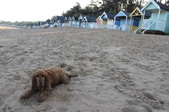 Enlarge photo 26