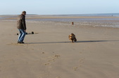 Enlarge photo 31