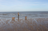 Enlarge photo 32