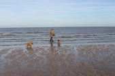Enlarge photo 33