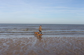 Enlarge photo 34