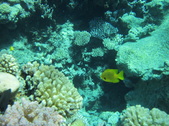 Enlarge photo 33