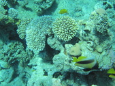 Enlarge photo 34