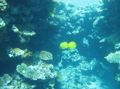 Enlarge photo 35