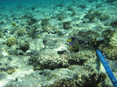 Enlarge photo 36
