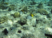 Enlarge photo 37