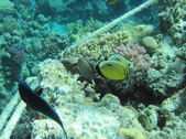 Enlarge photo 38