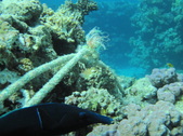 Enlarge photo 39