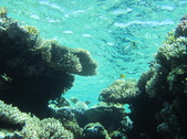 Enlarge photo 40