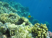 Enlarge photo 41