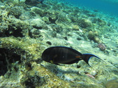 Enlarge photo 46