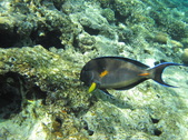 Enlarge photo 47