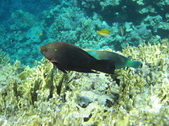 Enlarge photo 48