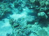 Enlarge photo 50
