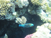 Enlarge photo 54