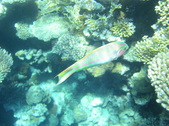 Enlarge photo 56