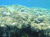 Enlarge photo 57