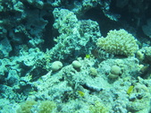 Enlarge photo 58