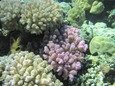 Enlarge photo 62