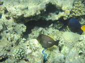 Enlarge photo 66