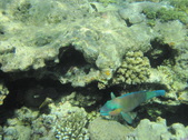 Enlarge photo 67