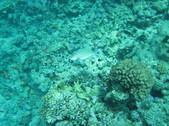 Enlarge photo 71