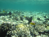 Enlarge photo 75
