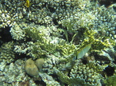 Enlarge photo 76