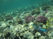 Enlarge photo 79