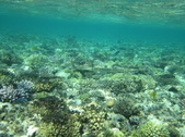 Enlarge photo 81