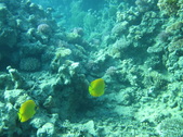 Enlarge photo 82